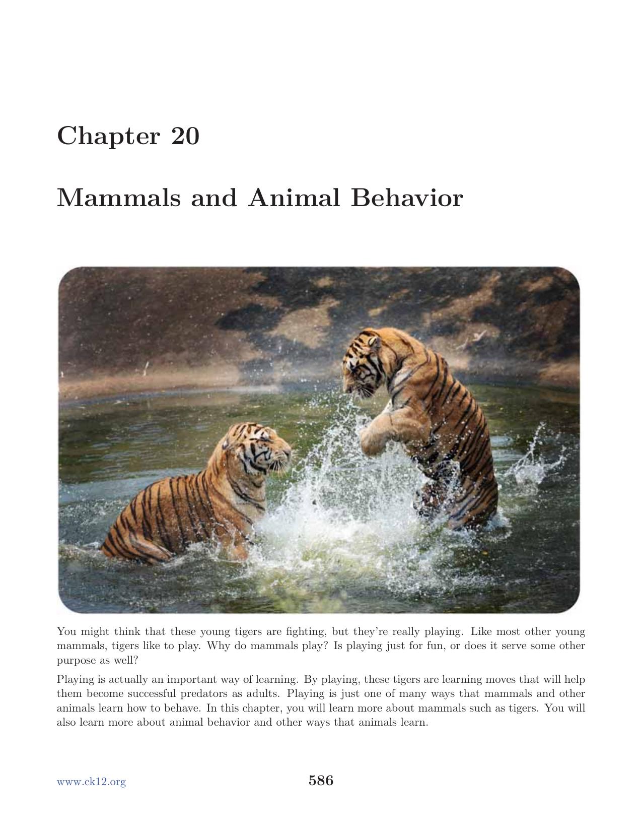 Biology Chapter20